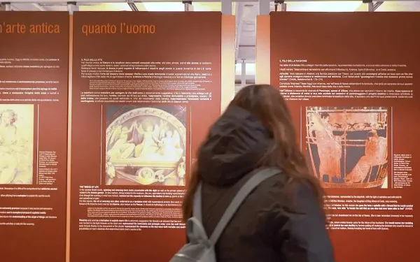 ingesso del museo della lana
