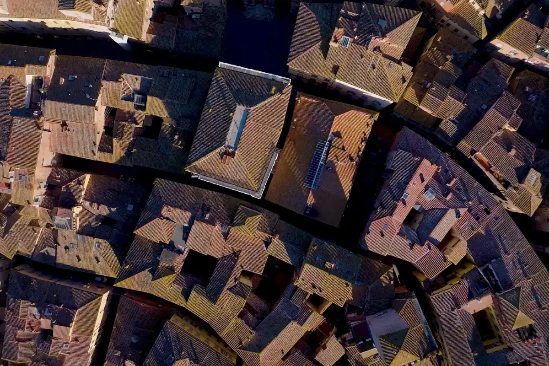 tetti del centro storico di Siena
