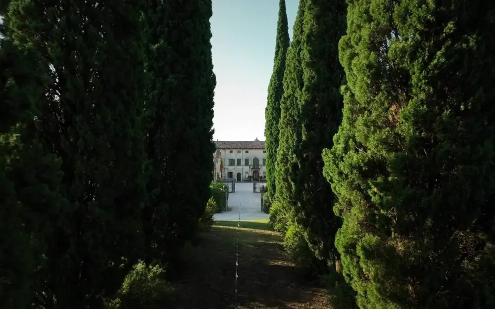 il casolare del vitigno