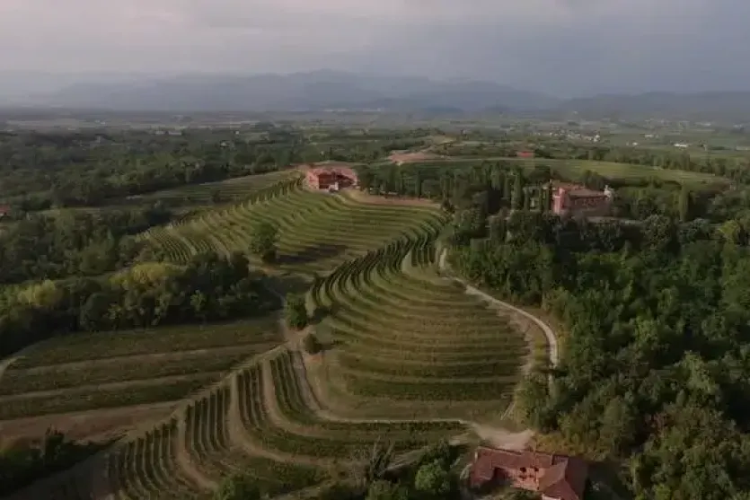 Le dolci colline del Friuli - ad Udine le cantine delle Terre dei Cavalieri