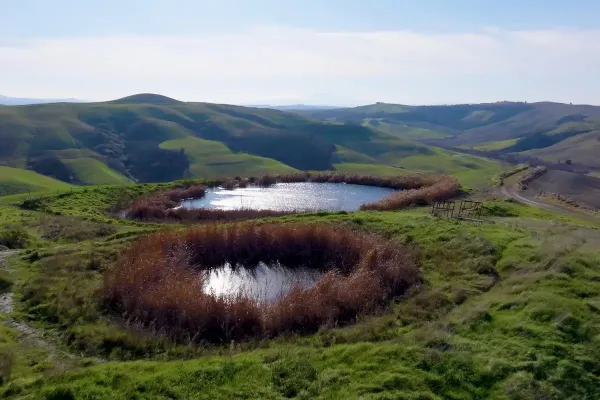 vasche naturali campagna senese nei pressi Asciano